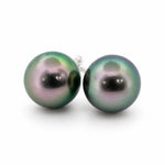 9 - 10mm Black Tahitian Pearl Stud Earrings - Aurum Jewels