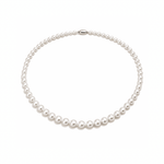 Akoya Pearl Strand 6mm - 6.5mm - Aurum Jewels