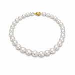 Autore South Pearl Strand 12mm - 14mm - Aurum Jewels