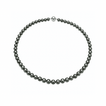 Black Tahitian Pearl Strand 7mm - 8mm - Aurum Jewels