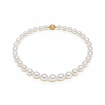 South Sea Circle Pearl Strand - Aurum Jewels