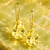 Coloured Gemstone Earrings - Aurum Jewels