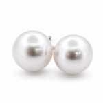 9 - 10mm South Sea Pearl Stud Earrings - Aurum Jewels