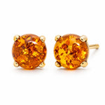 9ct Yellow Gold 8mm Round Domed Amber Stud Earrings - Aurum Jewels