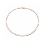 Akoya Pearl Strand 4.5mm - 5mm - Aurum Jewels
