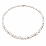 Akoya Pearl Strand 6mm - 6.5mm - Aurum Jewels
