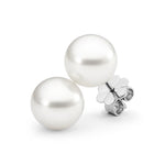 Autore South Sea Pearl Stud Earrings - Aurum Jewels