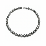 Black Tahitian Pearl Strand 10mm - 11mm - Aurum Jewels