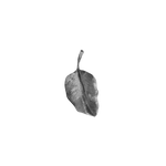 Ole Lynggaard Leaves Pendant Oxidised Silver - Aurum Jewels