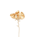 Ole Lynggaard Wild Rose Brooch - Aurum Jewels